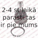 Balst-/Virzošais šarnīrs DELPHI TC1989