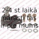 Balst-/Virzošais šarnīrs DELPHI TC2153