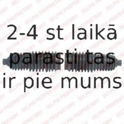 Putekļusargu komplekts, Stūres iekārta DELPHI TBR4232