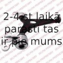 Рычаг независимой подвески колеса, подвеска колеса DELPHI TC2245