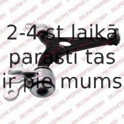 Рычаг независимой подвески колеса, подвеска колеса DELPHI TC2245