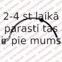 Тормозной шланг DELPHI LH6780