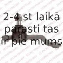 Balst-/Virzošais šarnīrs DELPHI TC2317
