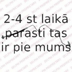 Тормозной шланг DELPHI LH6829