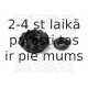Amortizatora statnes balsts MONROE MK068
