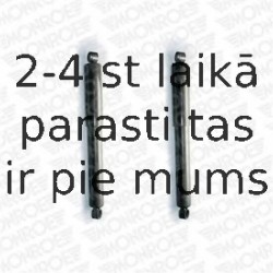 Amortizators MONROE D4441