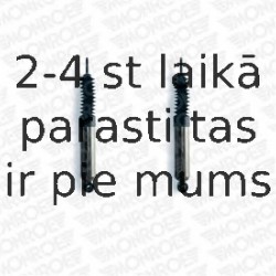 Amortizators MONROE D8496