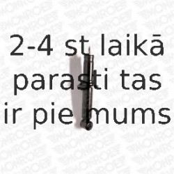 Амортизатор MONROE R6335