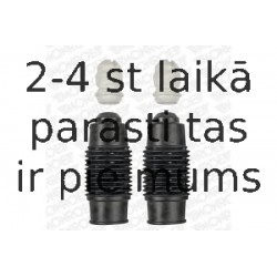 PK060 (2)