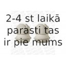 MONROE PK075 (5), Пылезащитный комилект, амортизатор