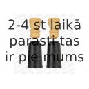 MONROE PK094 (5), Пылезащитный комилект, амортизатор