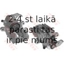 Bremžu suports TRW BHN203