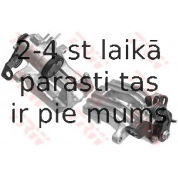 Bremžu suports TRW BHN303