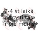 Bremžu suports TRW BHN353