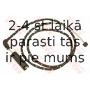 Indikators, Bremžu uzliku nodilums TRW GIC206