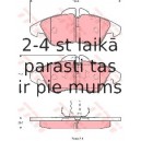 Bremžu uzliku kompl., Disku bremzes TRW GDB1220