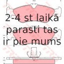 Bremžu uzliku kompl., Disku bremzes TRW GDB1263