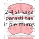 Bremžu uzliku kompl., Disku bremzes TRW GDB1703