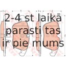 Bremžu uzliku kompl., Disku bremzes TRW GDB1705