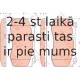 Bremžu uzliku kompl., Disku bremzes TRW GDB1733