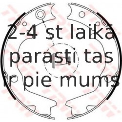 Bremžu loku kompl., Stāvbremze TRW GS8479