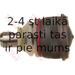 Balst-/Virzošais šarnīrs TRW JBJ165