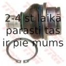 Balst-/Virzošais šarnīrs TRW JBJ742