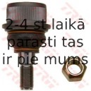 Balst-/Virzošais šarnīrs TRW JBJ767