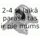 Подвеска, автоматическая коробка передач LEMFÖRDER 31030 01