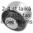 Подвеска, рычаг независимой подвески колеса LEMFÖRDER 25909 01