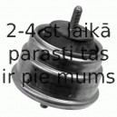 Подвеска, двигатель LEMFÖRDER 25888 01