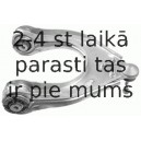 Рычаг независимой подвески колеса, подвеска колеса LEMFÖRDER 31950 01