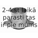 Amortizatora statnes balsts LEMFÖRDER 22036 01