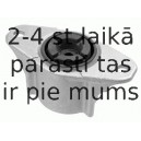 Amortizatora statnes balsts LEMFÖRDER 35318 01