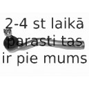 Stūres šķērsstiepņa uzgalis LEMFÖRDER 24729 01