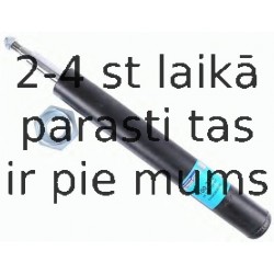 Amortizators SACHS 100 338