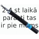 Amortizators SACHS 100 786