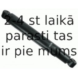 Amortizators SACHS 101 496