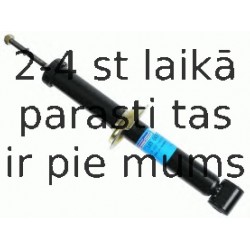 Amortizators SACHS 105 063