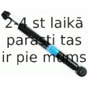 Amortizators SACHS 105 299