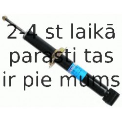 Amortizators SACHS 105 782