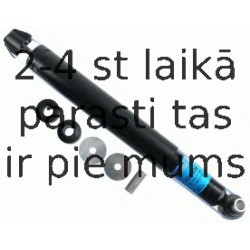 Amortizators SACHS 105 804