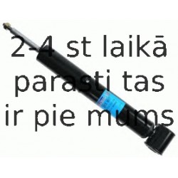 Amortizators SACHS 105 807