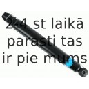 Amortizators SACHS 105 842