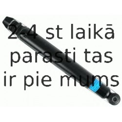 Amortizators SACHS 105 842