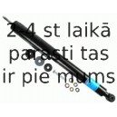 Amortizators SACHS 106 879