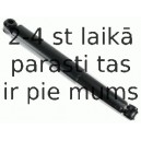 Amortizators SACHS 110 805