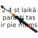 Amortizators SACHS 112 295