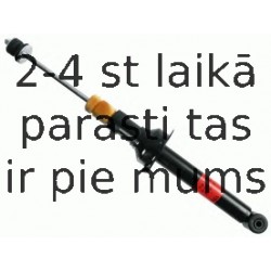 Amortizators SACHS 112 295