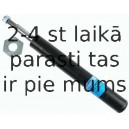 Amortizators SACHS 115 007